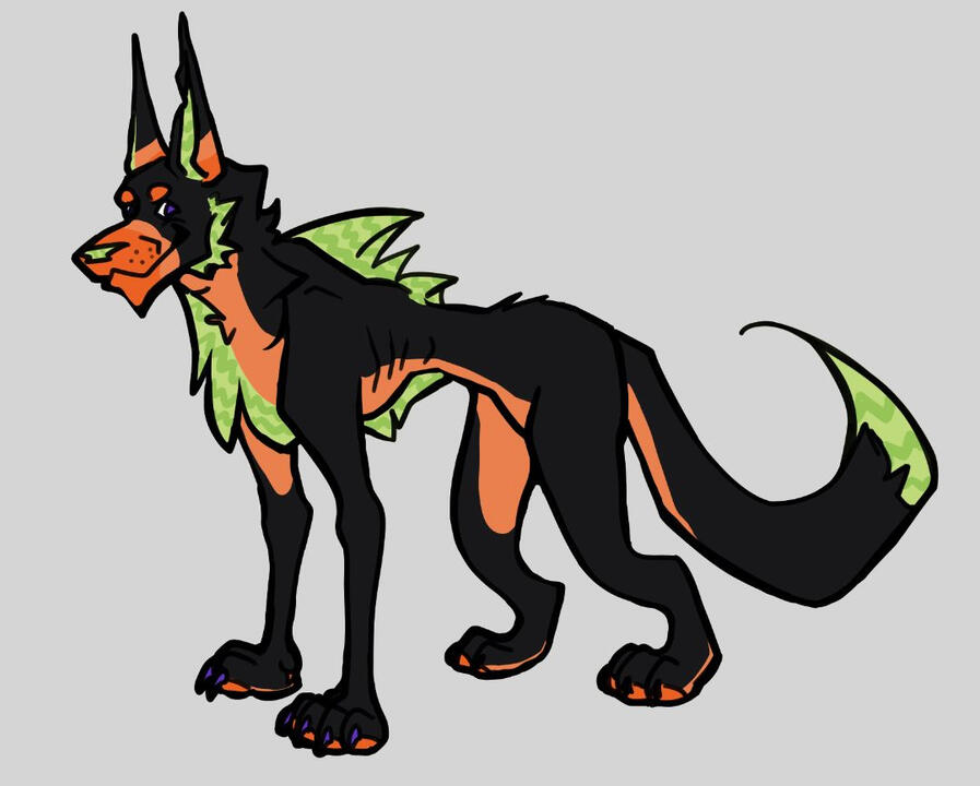 Dragoola